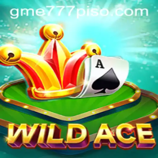 Unveiling WildAce: A New Adventure Awaits
